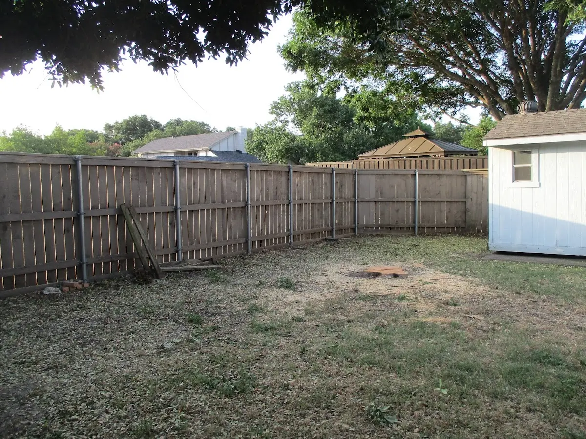 Cleared yard after professional tree removal in Slaterville Springs