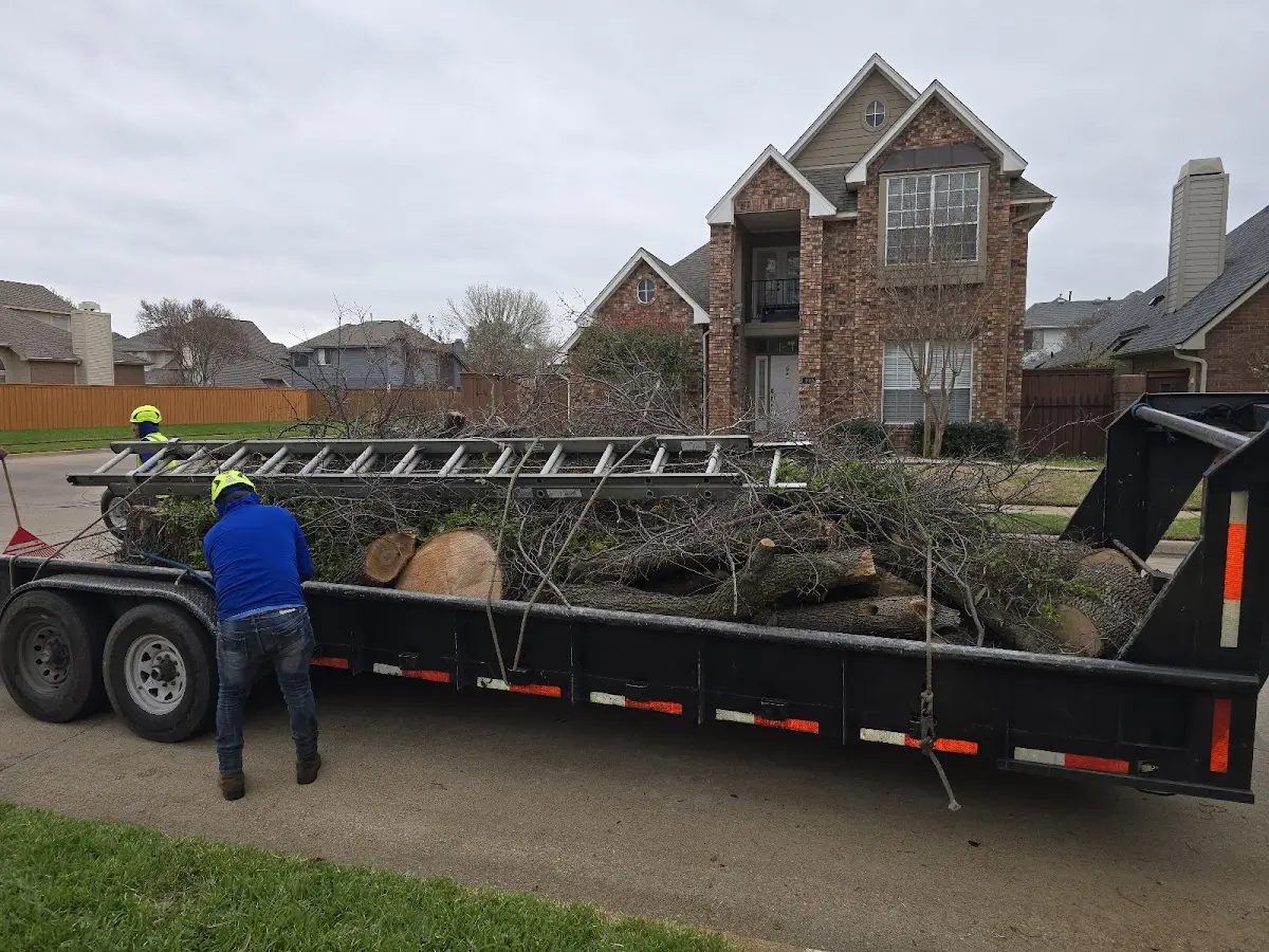 Expert Lot Clearing with proper safety equipment in Slaterville Springs